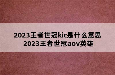 2023王者世冠kic是什么意思 2023王者世冠aov英雄